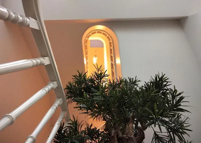 بيت ضيافة Souto